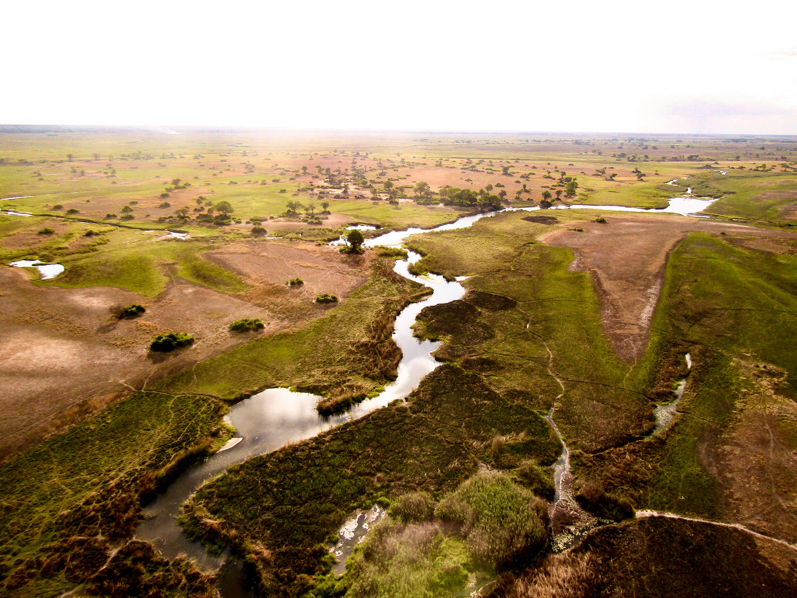 Okavango Delta