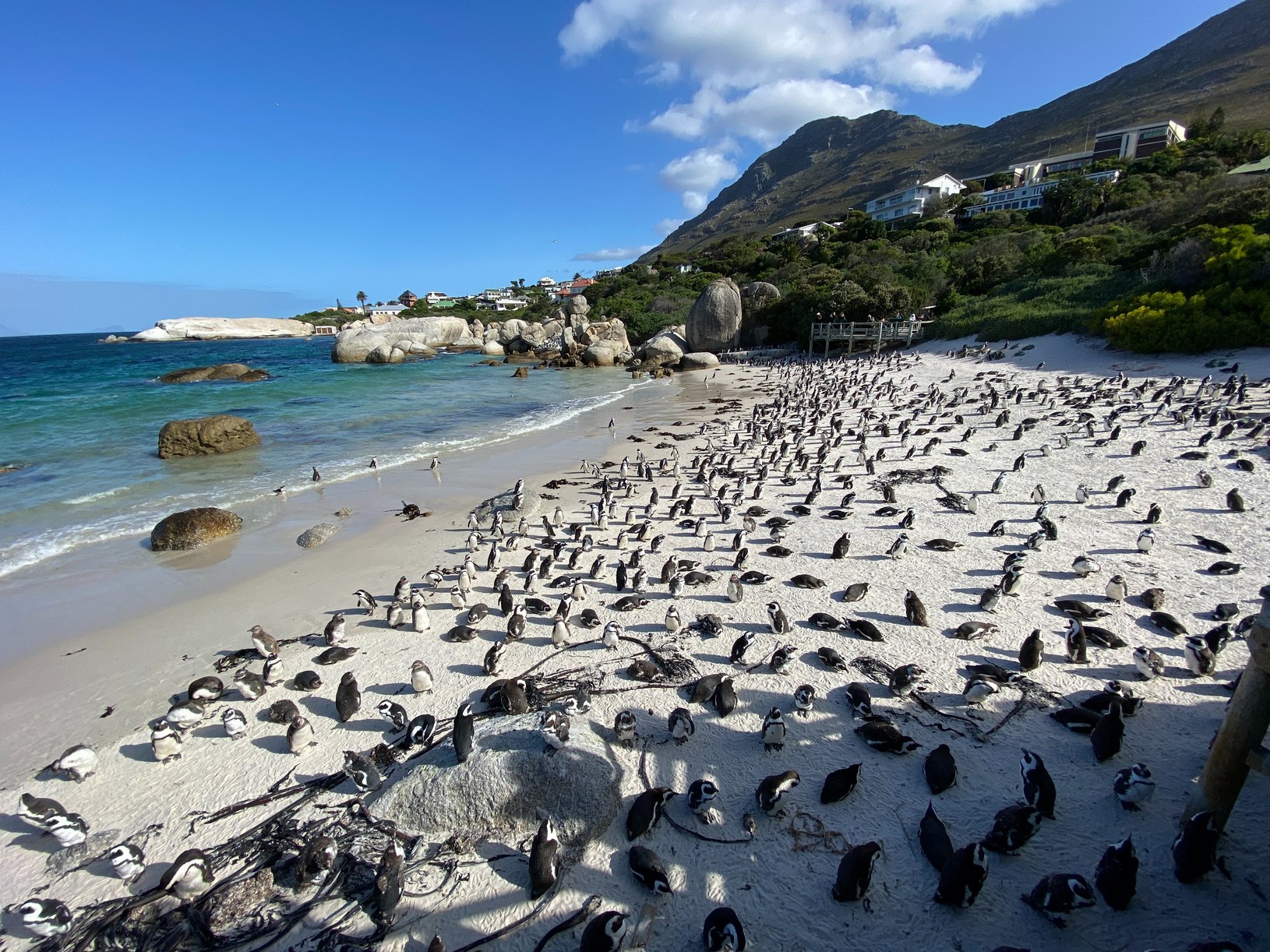 Boulders Beach