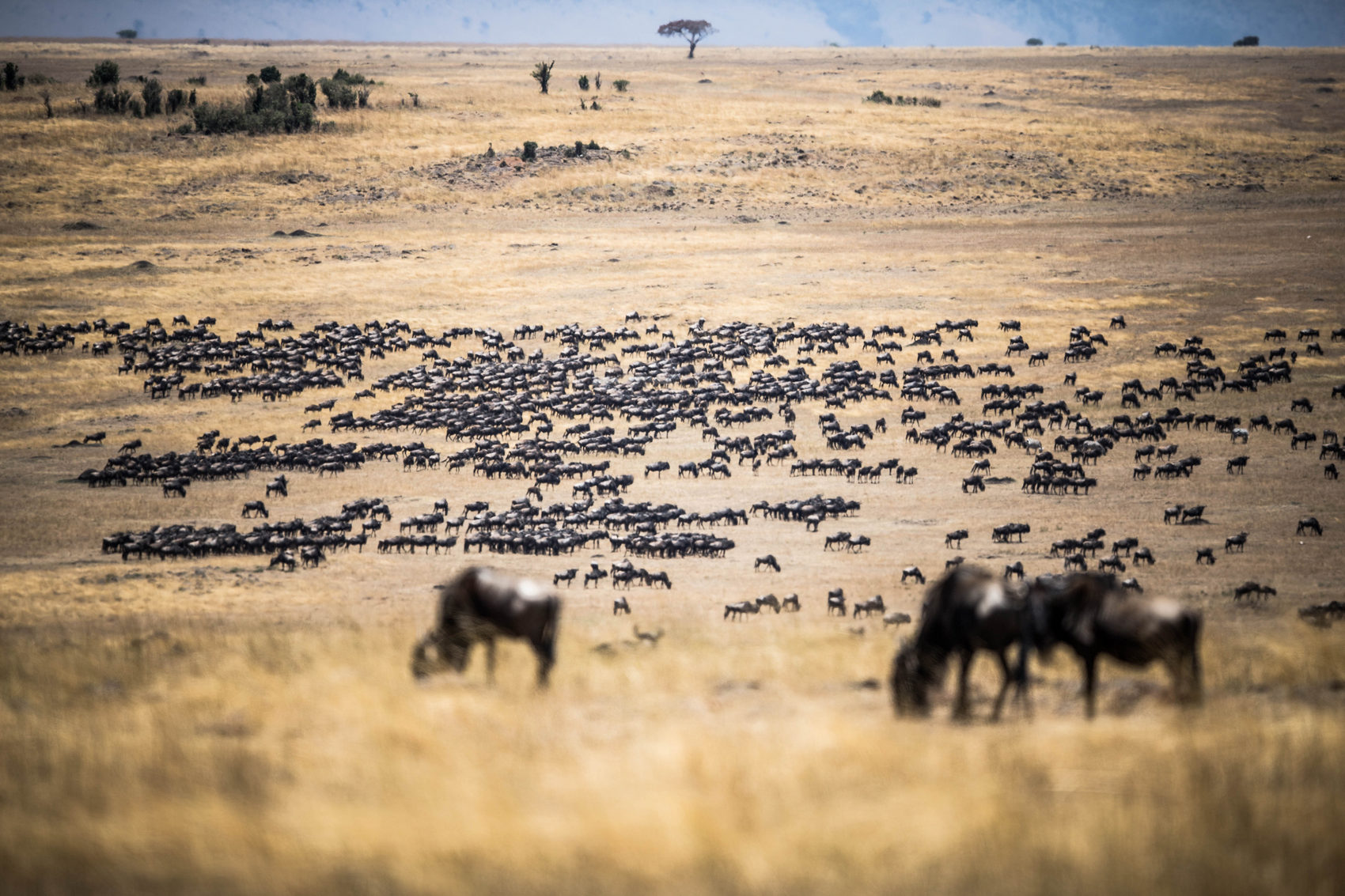 Luoghi da non perdere Tanzania