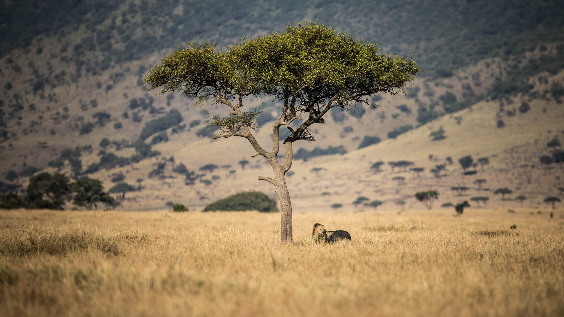 Cosa vedere in Tanzania