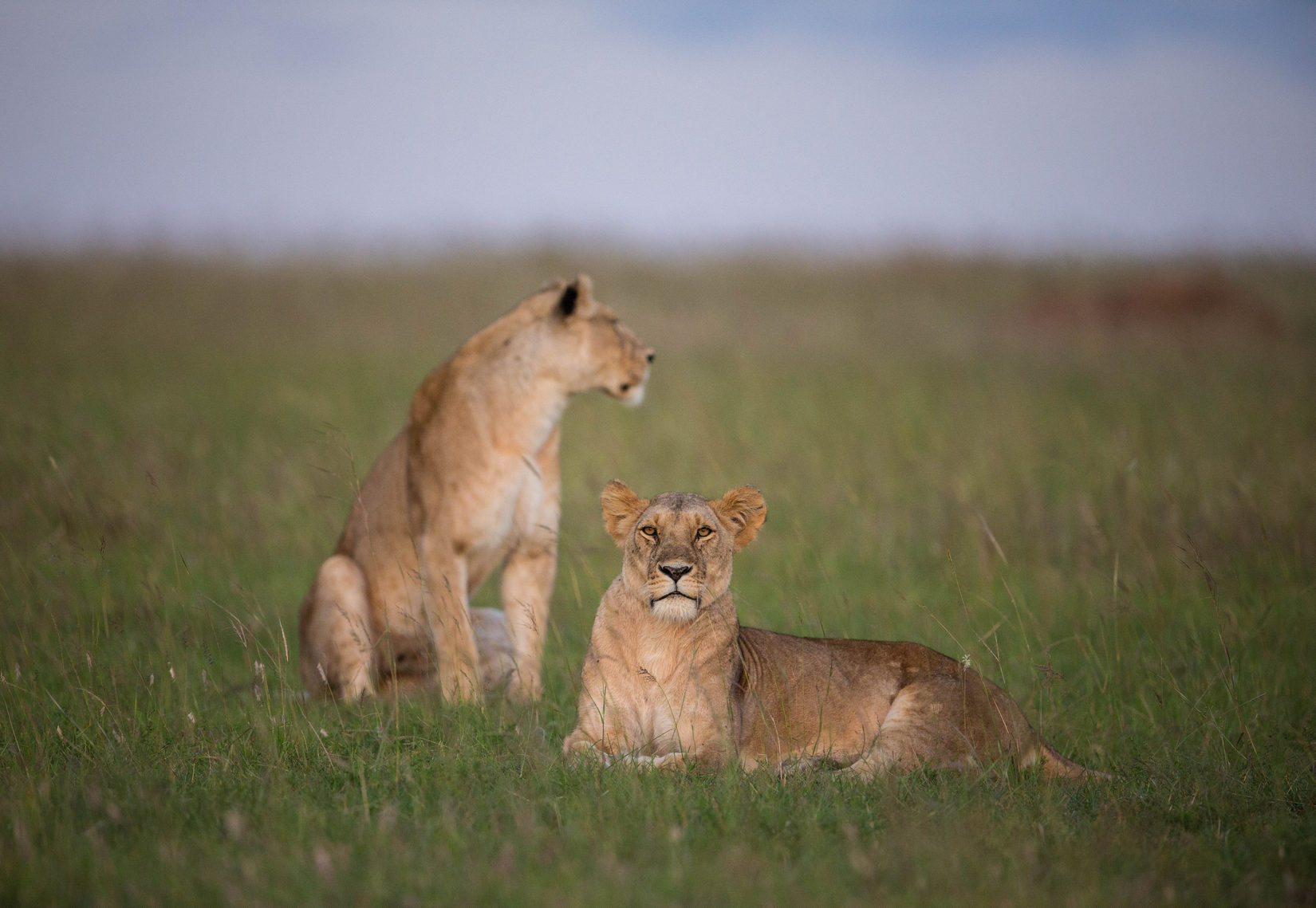 Selous Game Reserve