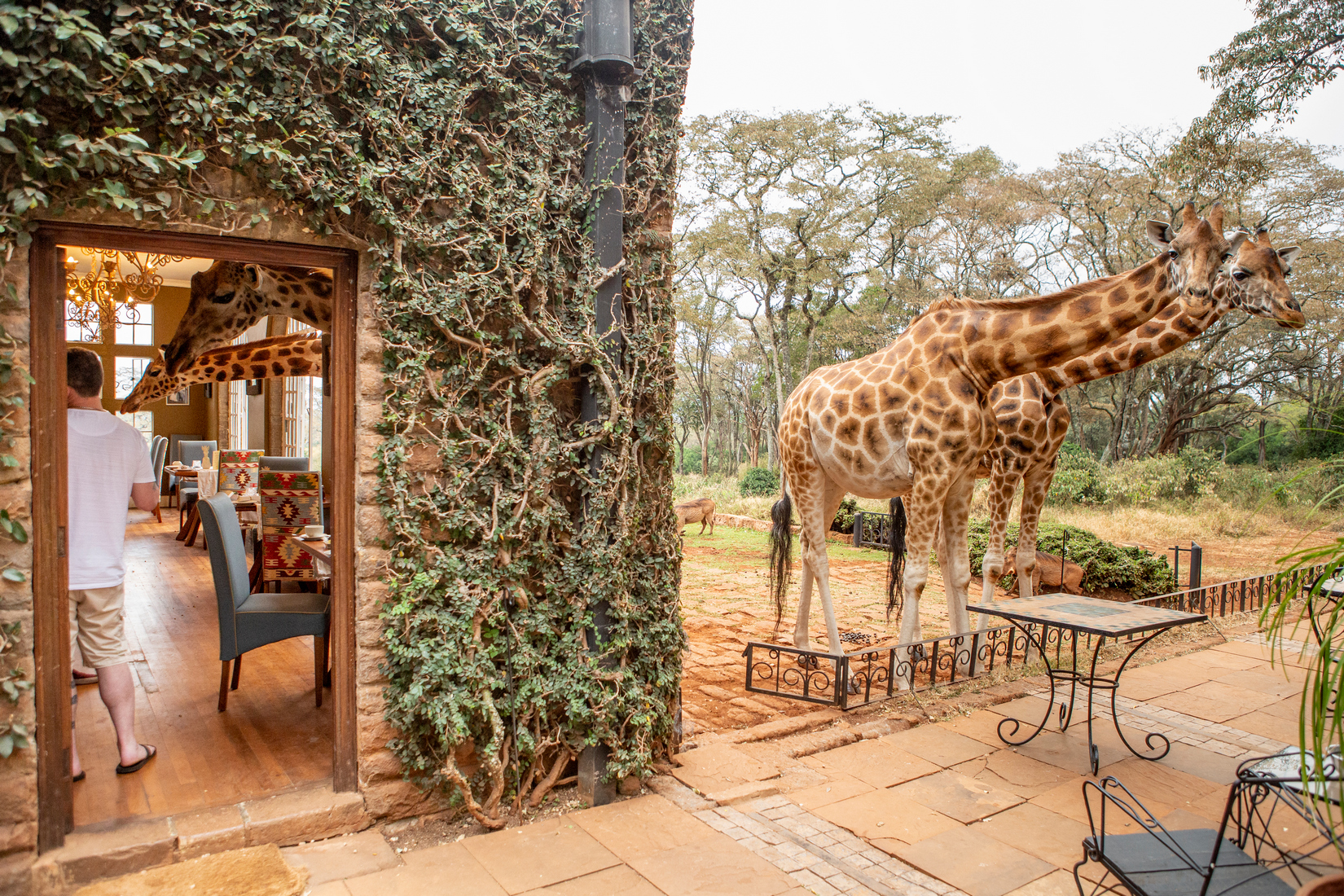 Giraffe Manor