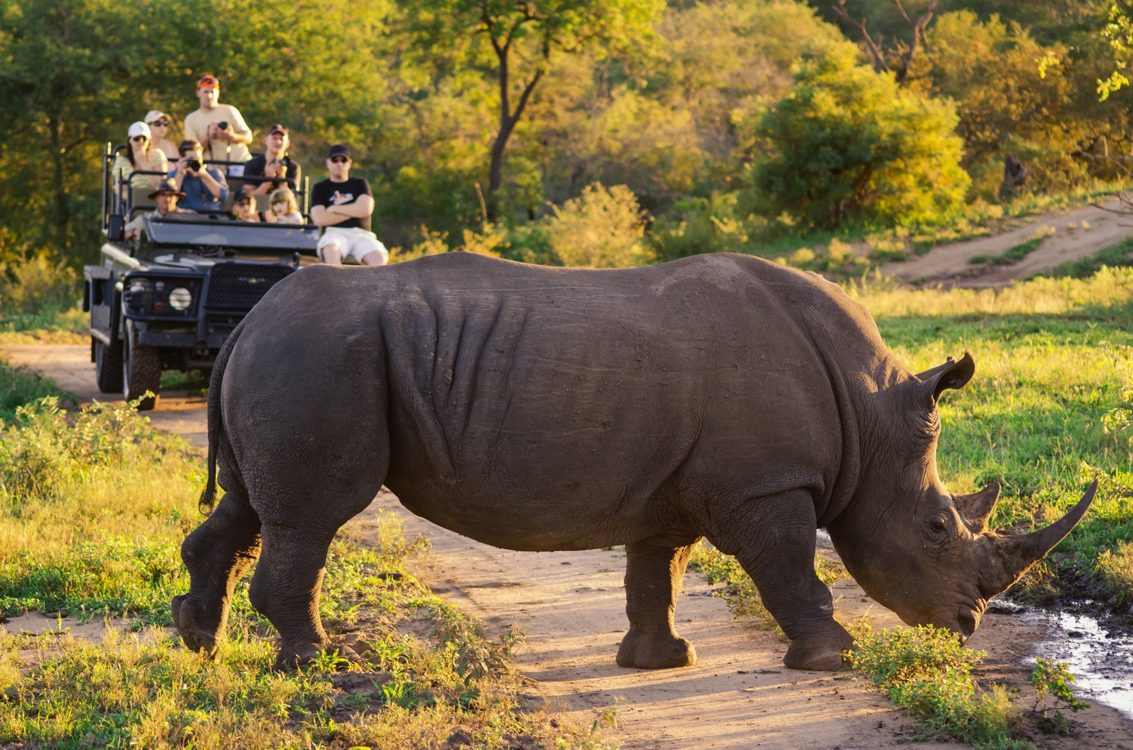 Addo National Park