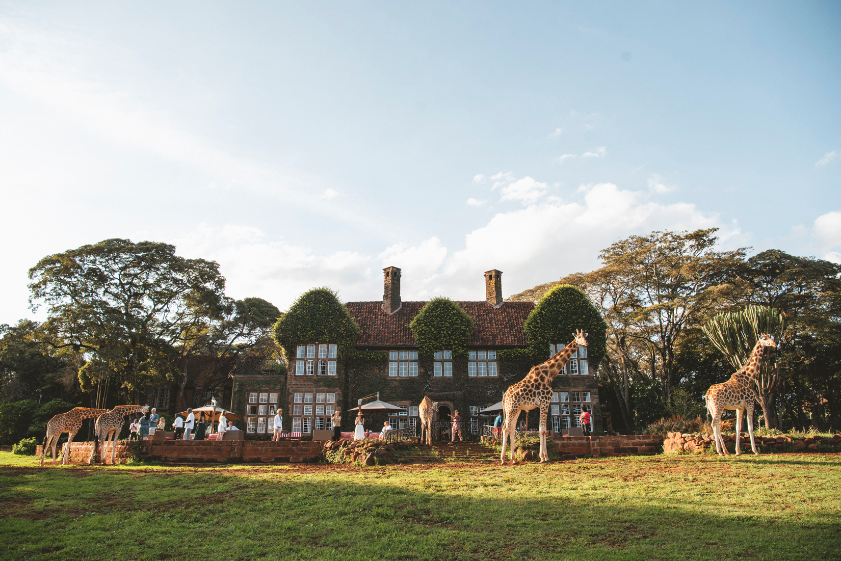 Giraffe Manor