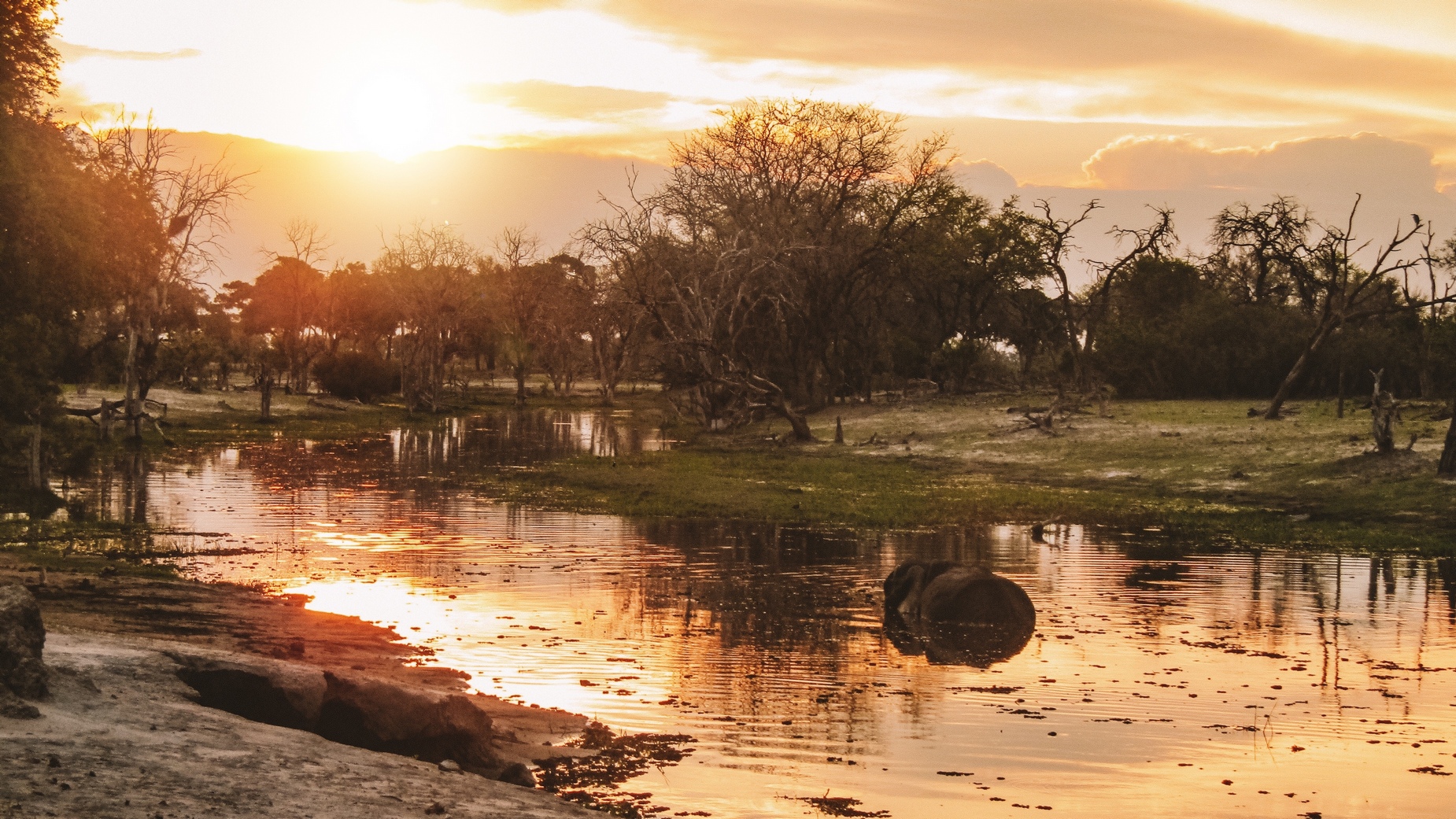 Viaggio in Botswana