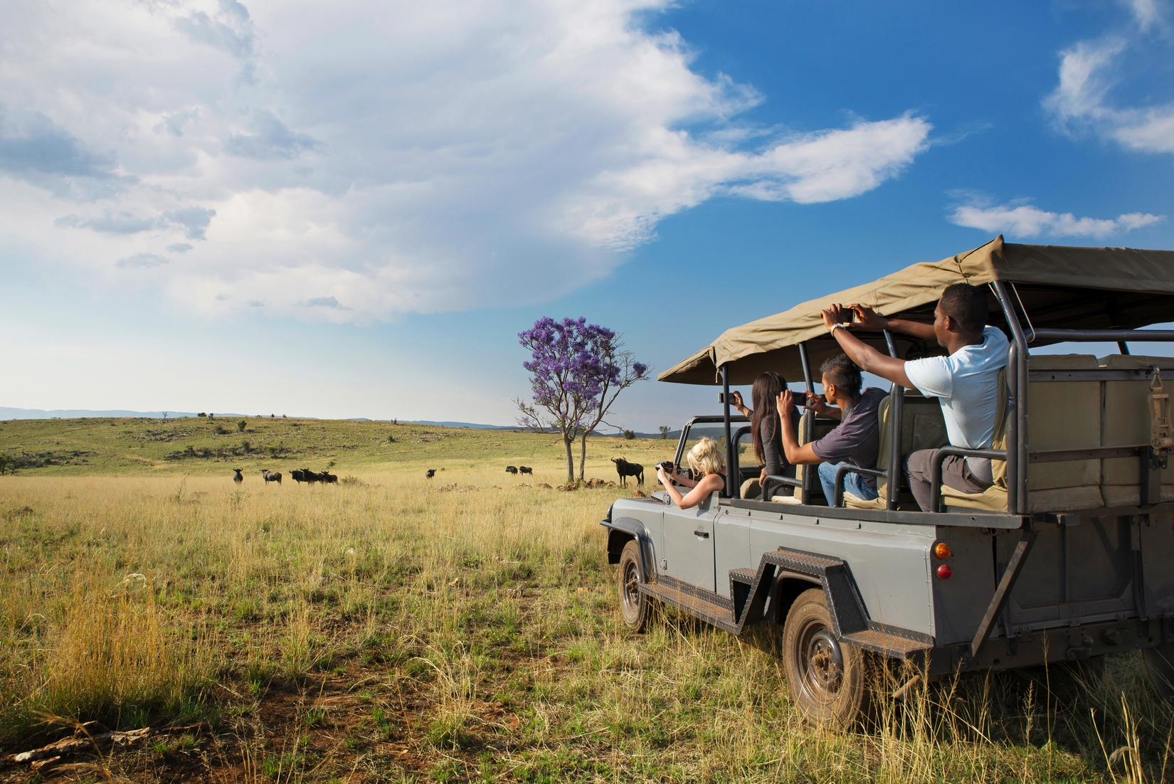 Kruger National Park