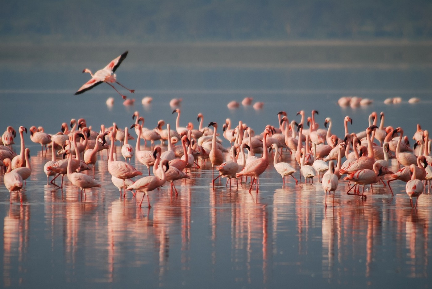 Lake Manyara