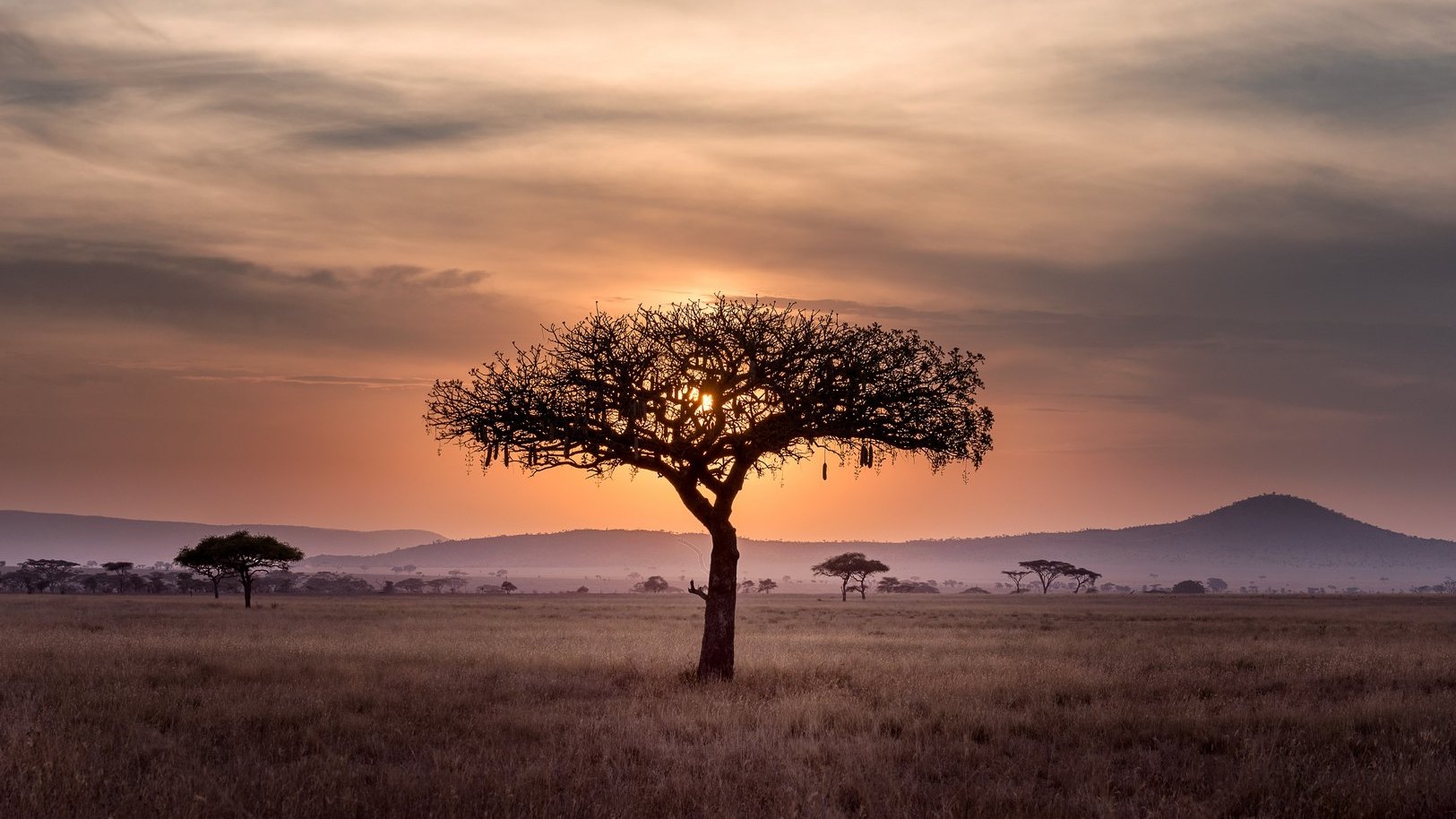 Serengeti, Tanzania