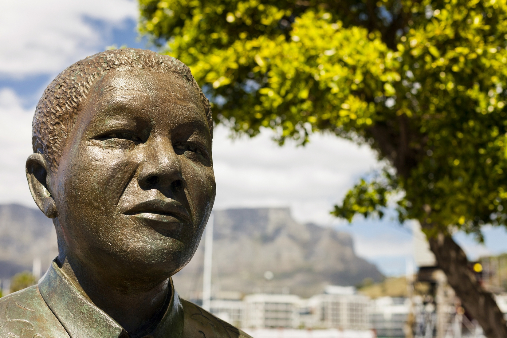 Statua di Nelson Mandela