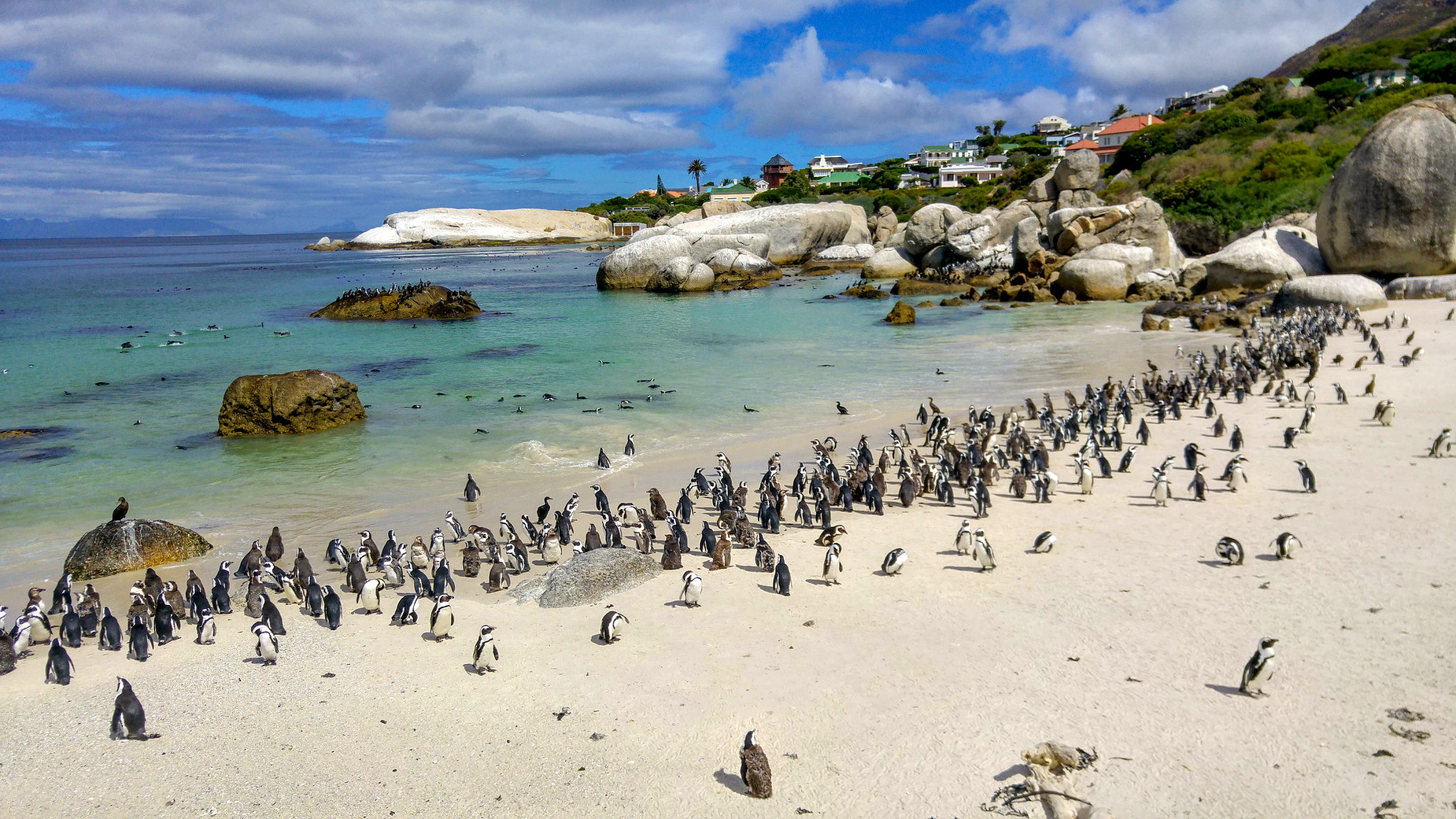 Boulders Beach