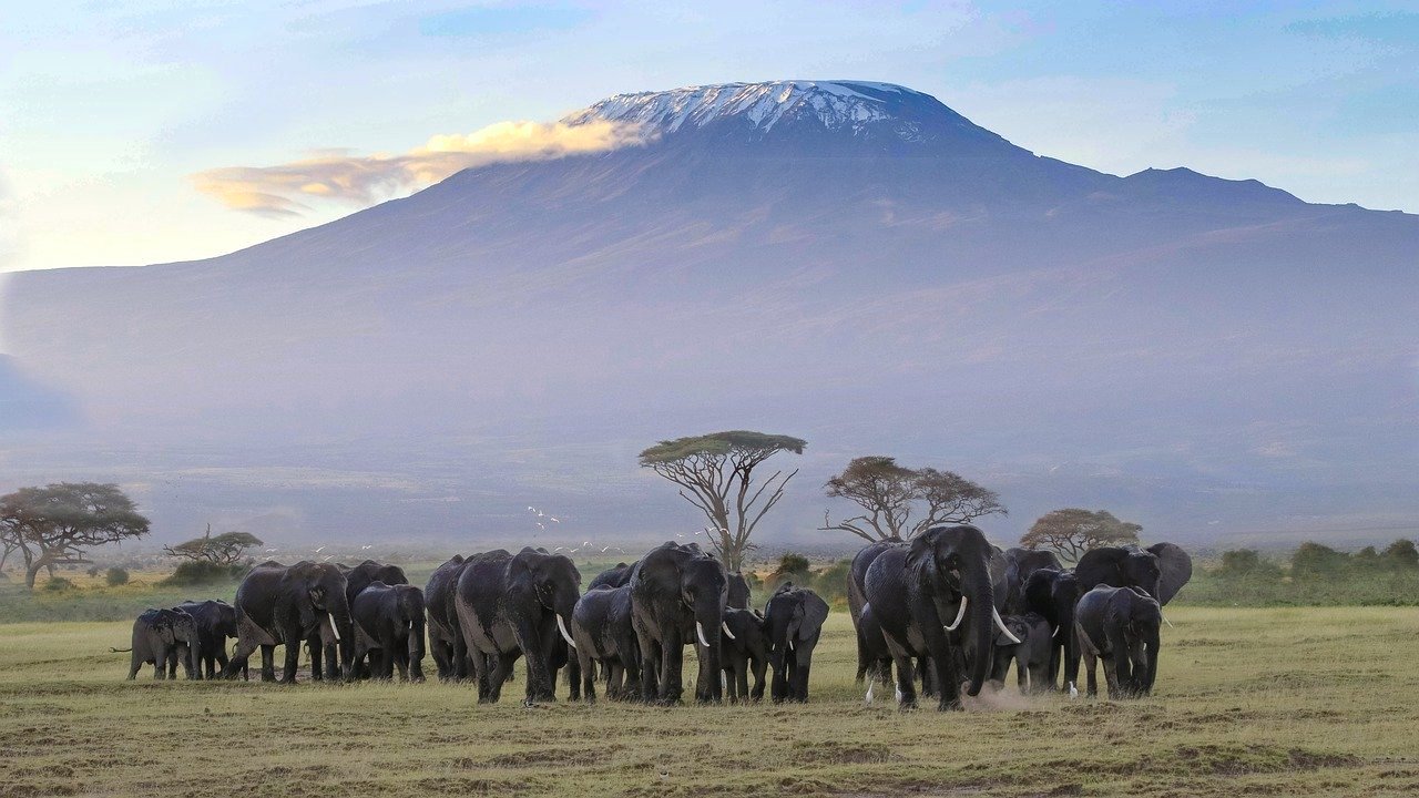 Amboseli