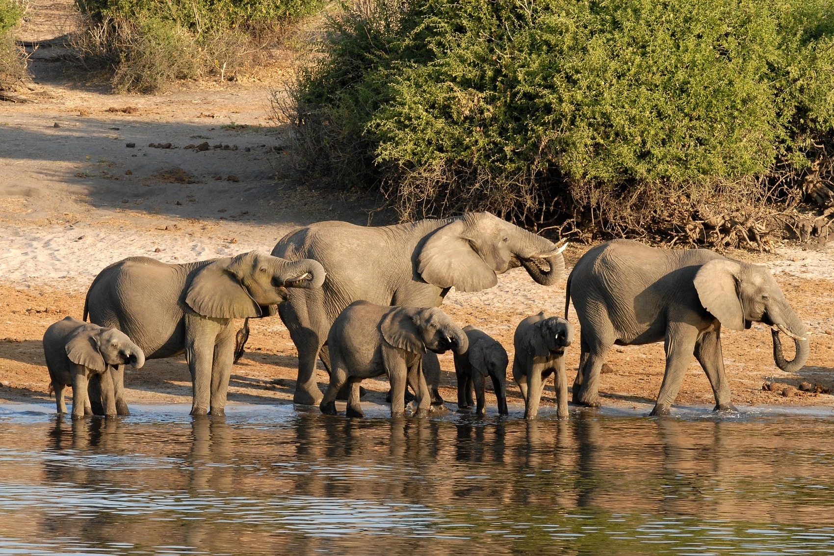 Cosa vedere in Botswana