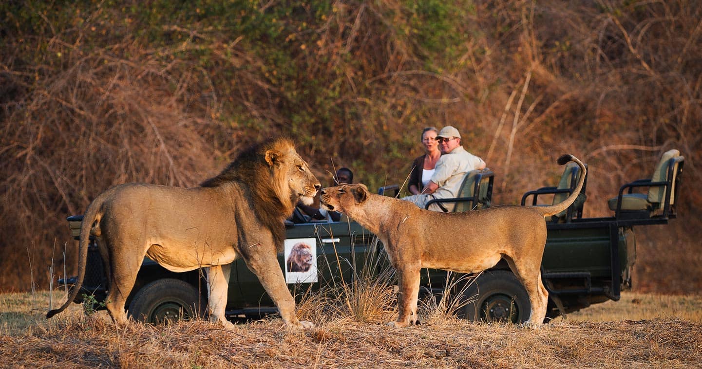 South Luangwa National Park