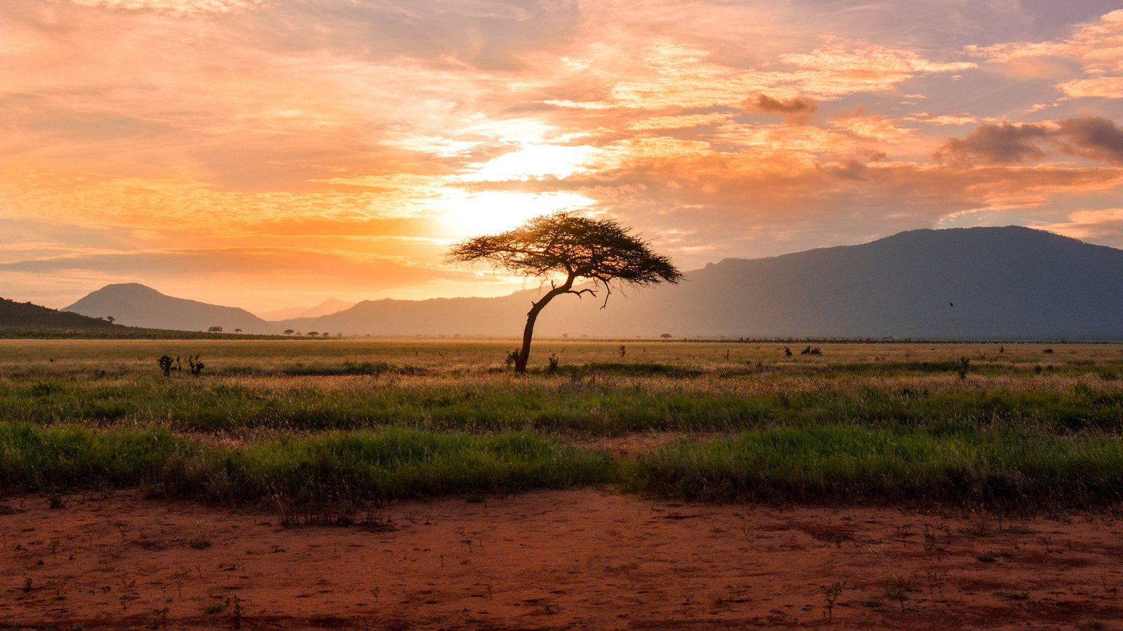 La suddivisione dell'Africa