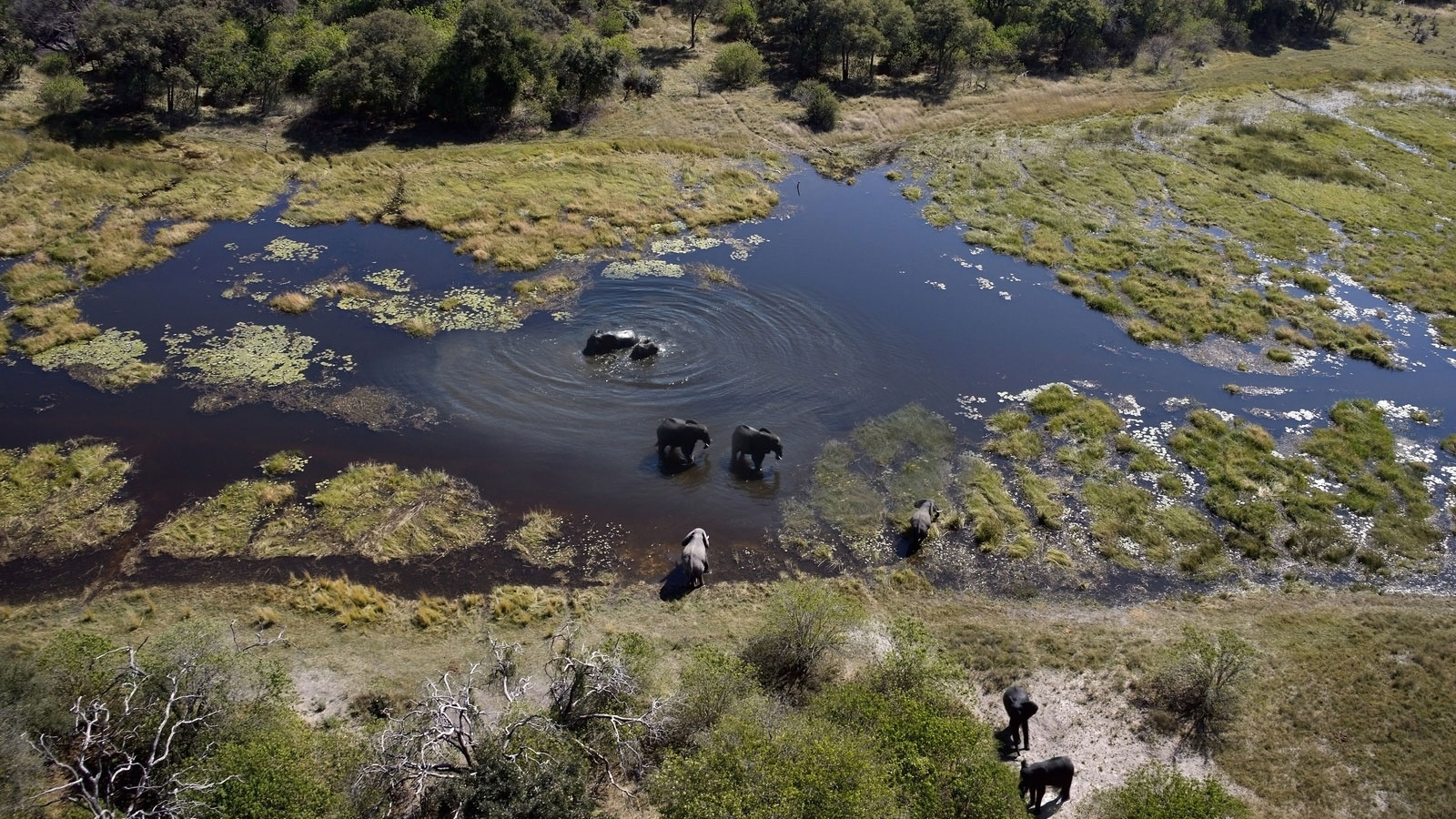 Botswana riapertura turismo