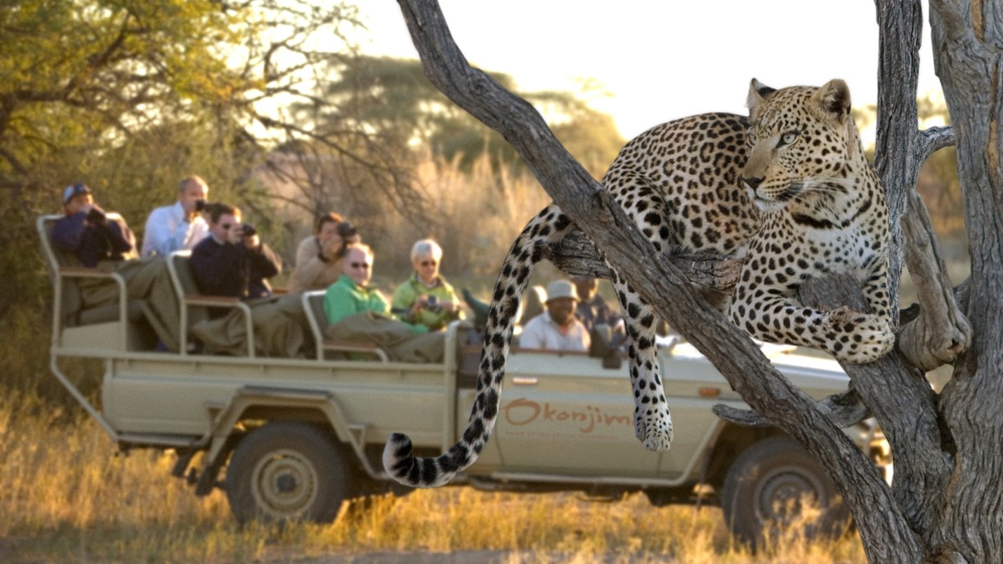 Centro Recupero Namibia