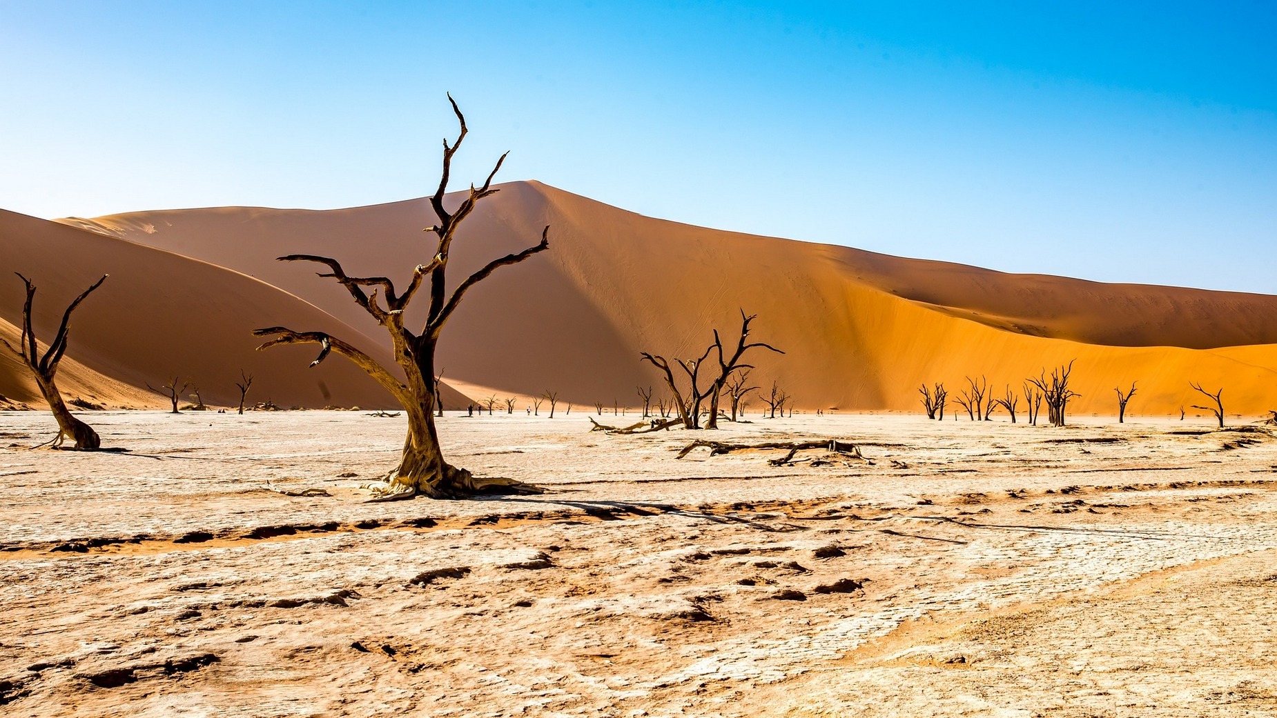 FAQ Namibia