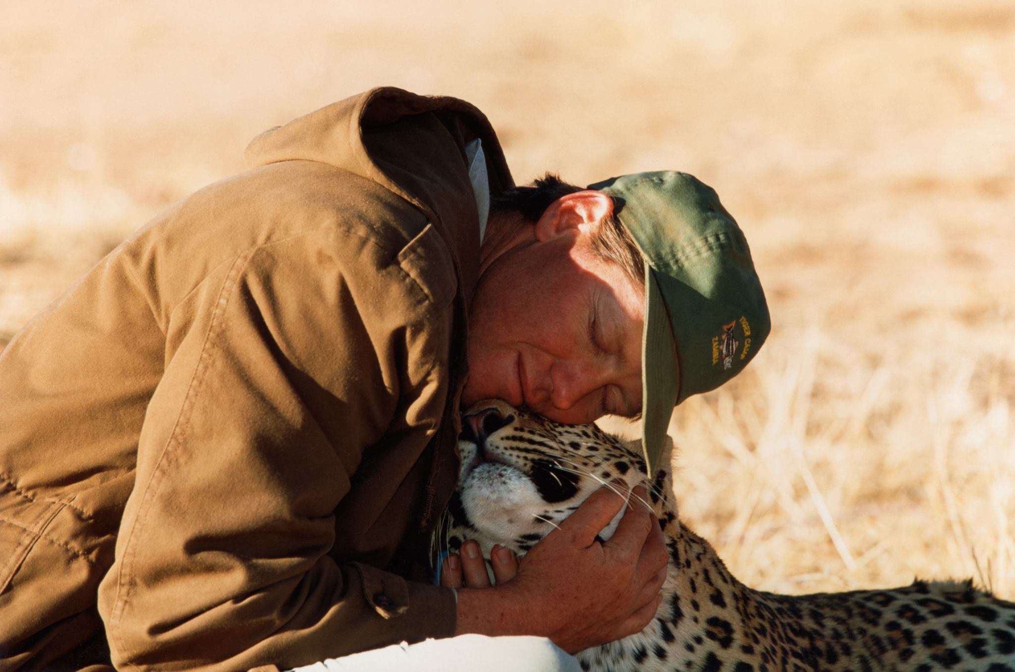 Ghepardo e leopardo